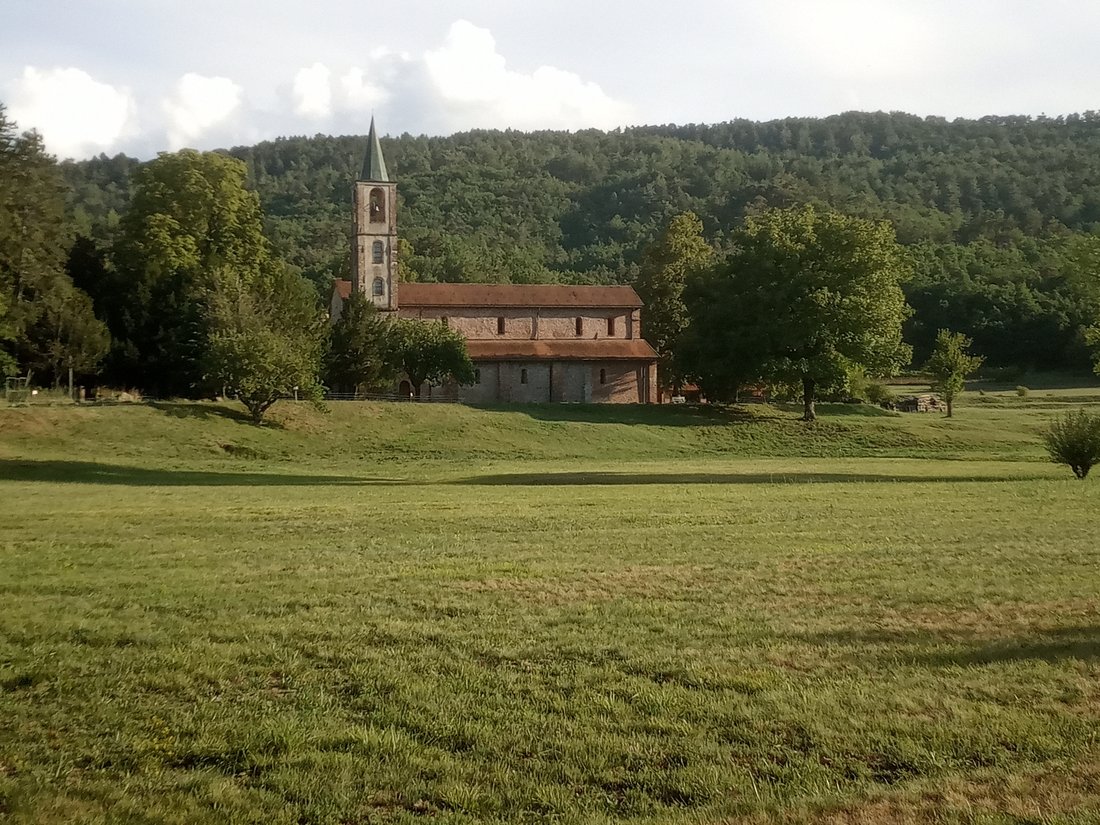 Panorami