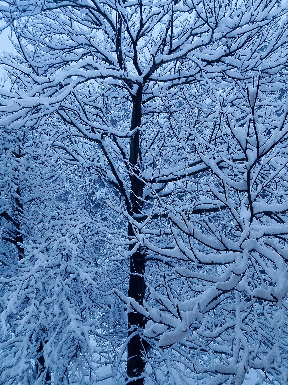 Il fascino dell'inverno